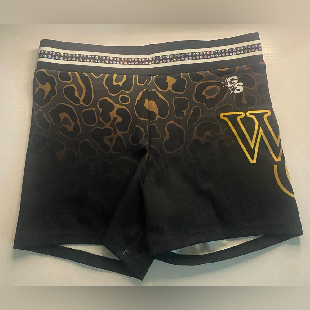Wcss 2023 worlds practice shorts